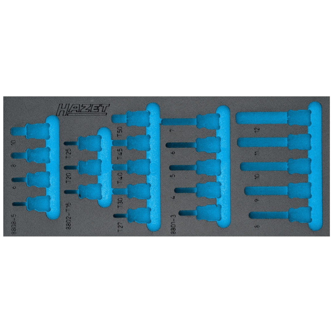 Hazet 2-Komponenten Weichschaumeinlage 163-571L, (LxB) 392 x 172 mm
