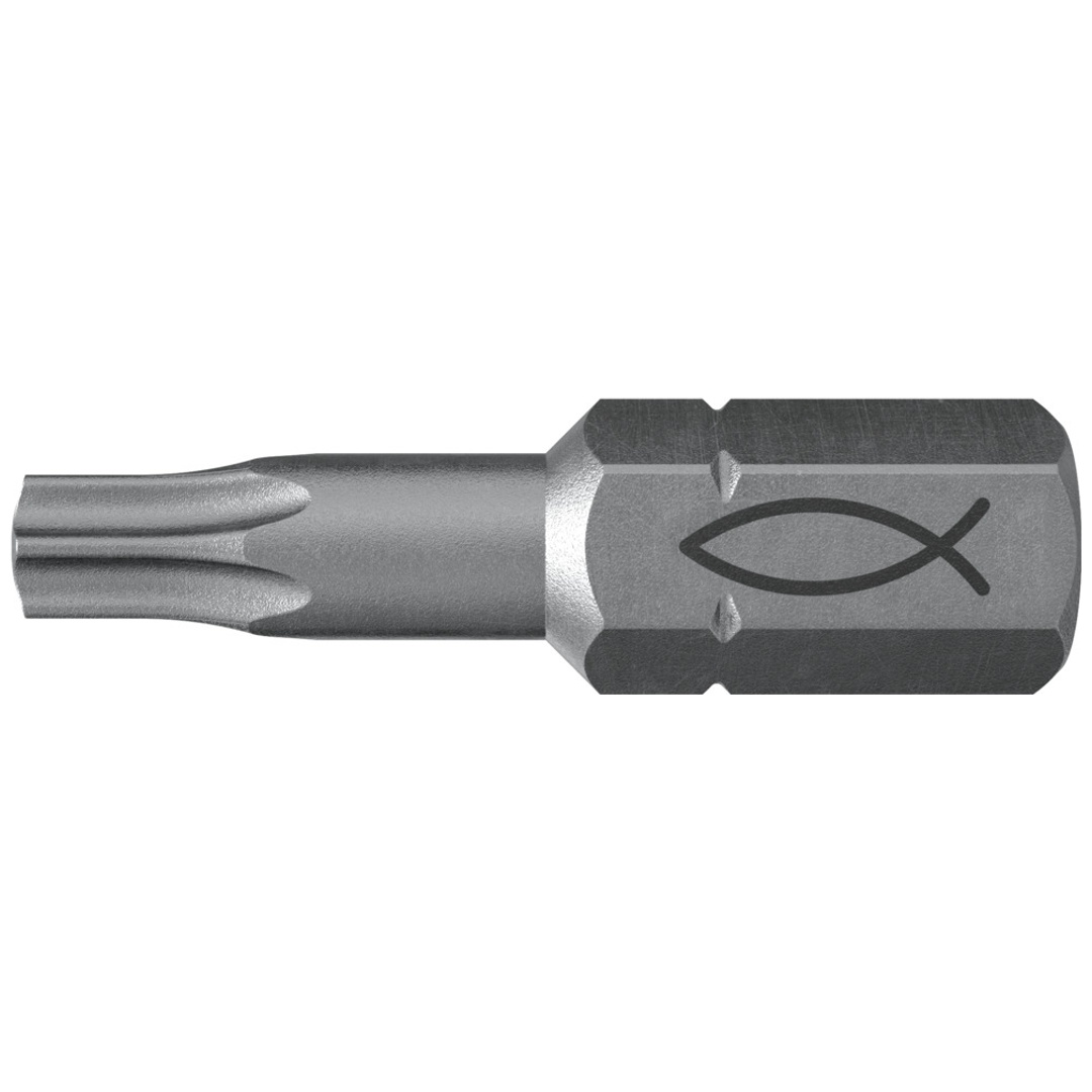Fischer Profi Bit FPB T 20 (10)