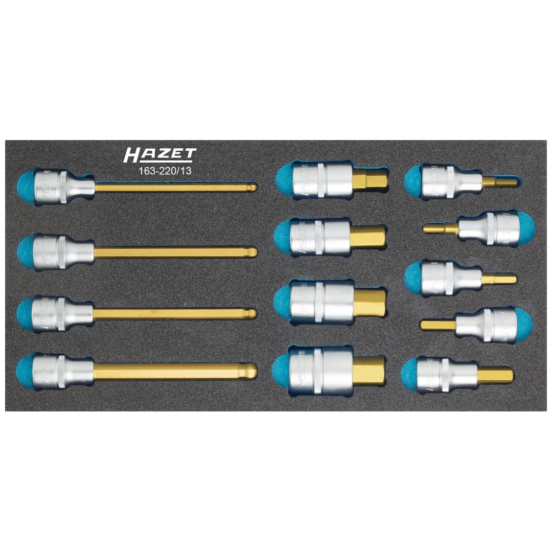 Hazet Schraubendreher-Steckschlüsseleinsatz Satz 163-220/13, 1/2 (12,5 mm) Vierkant hohl, Innen Sechskant Profil, 13-tlg., 5 - 10