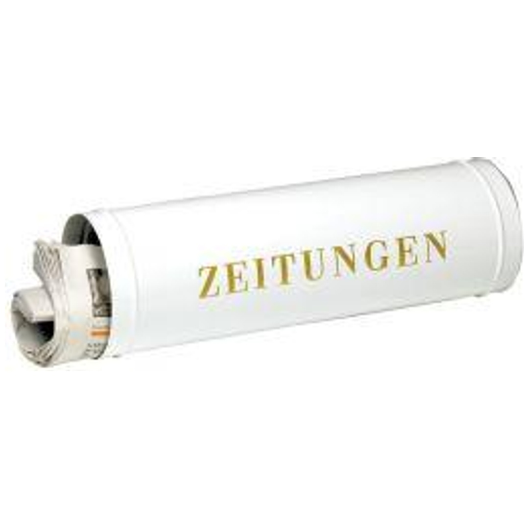 Burg-Wächter Zeitungsrolle, 800 Si, Stahl, Wandmontage, silber verzinkt