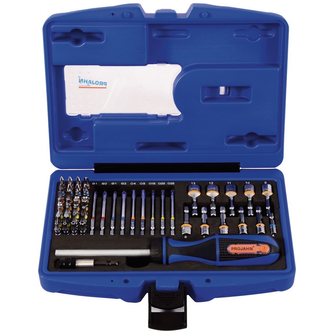 Projahn 1/4 Bit Box mit markierten Bits 60-tlg. inkl. Ratschenschraubendreher mit Bitfach