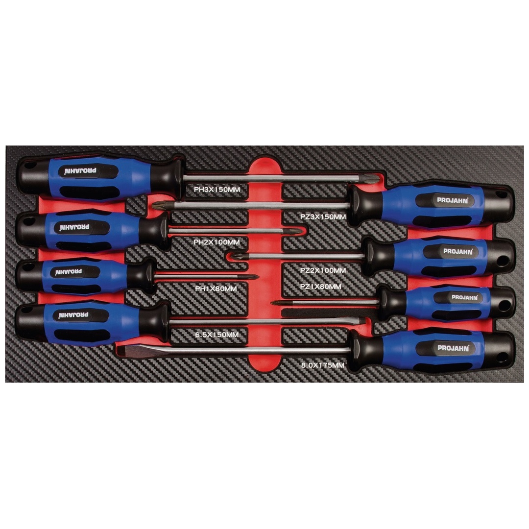 Projahn Schraubendreher Einlage gemischt 8-tlg., PH + PZ + SL