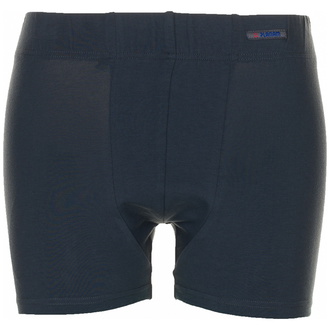 Planam Funktionsunterwäsche Shorts 190 g/m², Gr. S grau