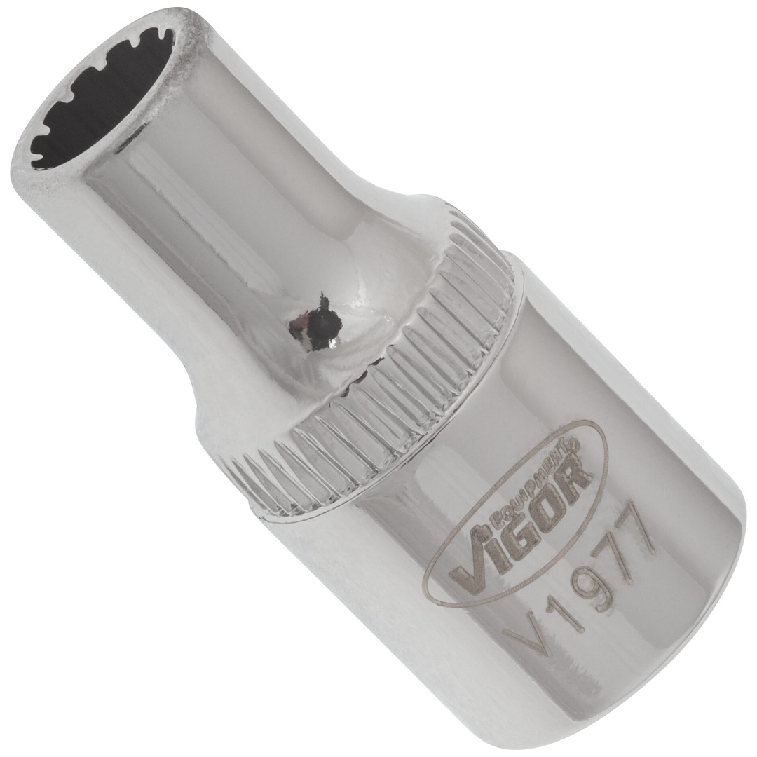 VIGOR Steckschlüsseleinsatz, 1/4 (6,3 mm) Vierkant hohl, Multiprofil, SW 5 mm
