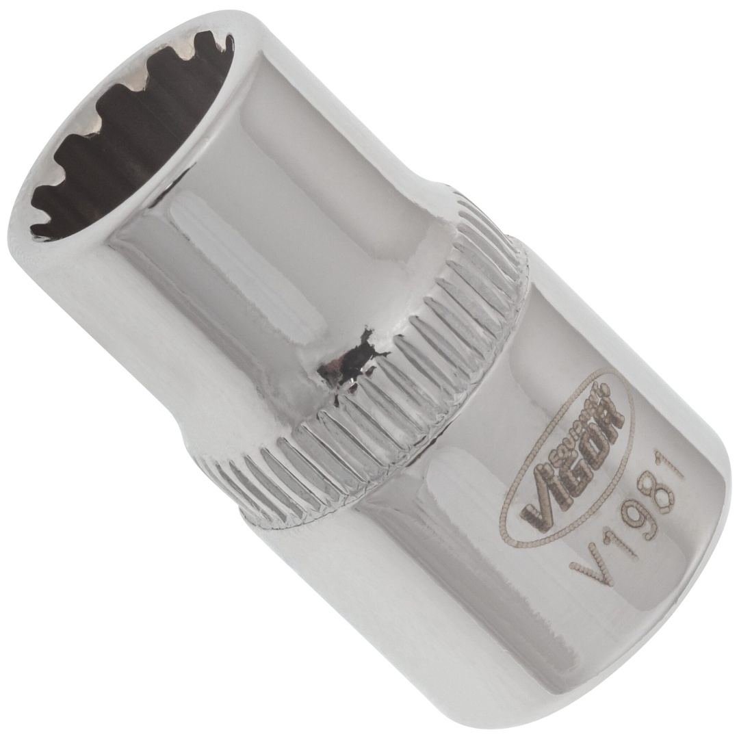 VIGOR Steckschlüsseleinsatz, 1/4 (6,3 mm) Vierkant hohl, Multiprofil, SW 8 mm