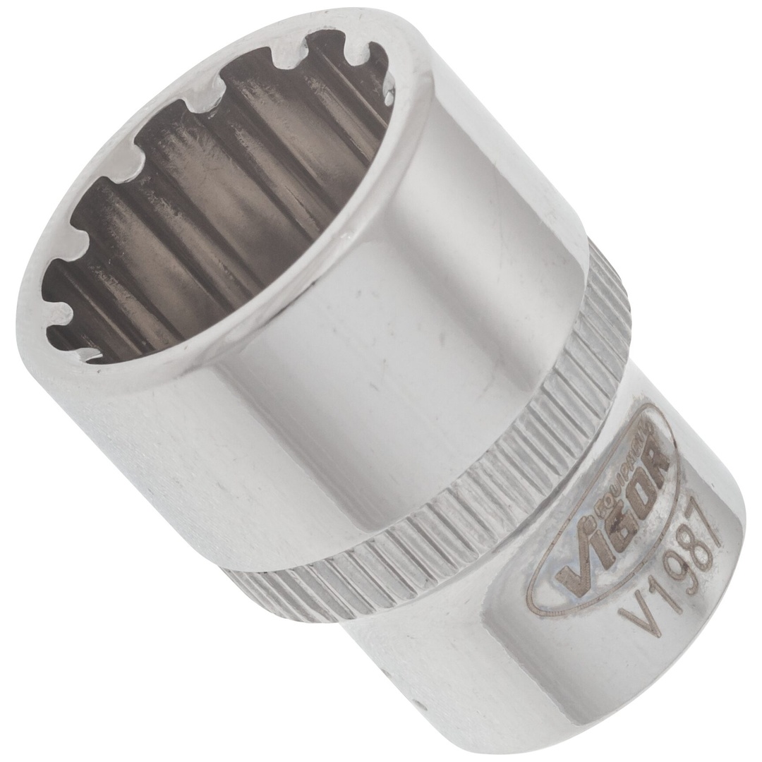 VIGOR Steckschlüsseleinsatz, 1/4 (6,3 mm) Vierkant hohl, Multiprofil, SW 14 mm
