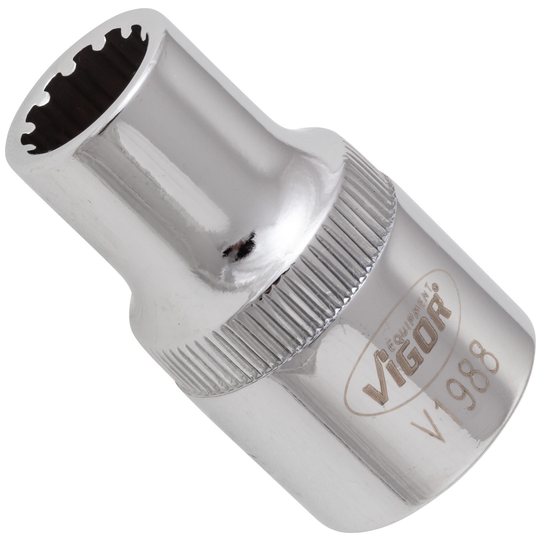 VIGOR Steckschlüsseleinsatz, 1/2 (12,5 mm) Vierkant hohl, Multiprofil, SW 10 mm