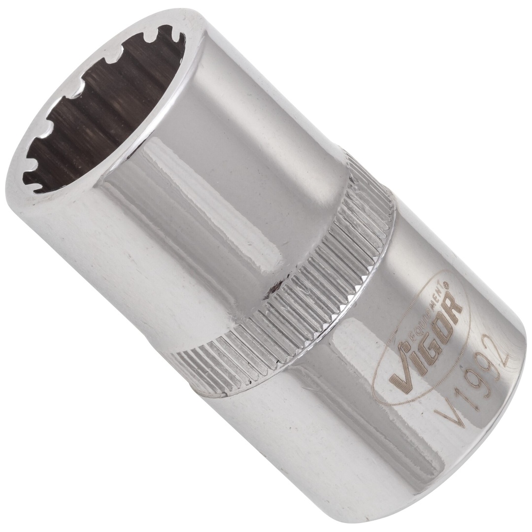 VIGOR Steckschlüsseleinsatz, 1/2 (12,5 mm) Vierkant hohl, Multiprofil, SW 14 mm