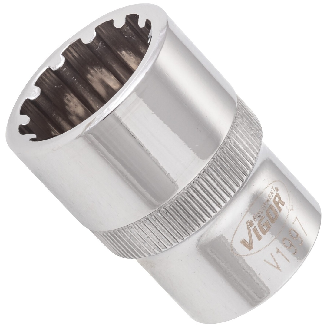 VIGOR Steckschlüsseleinsatz, 1/2 (12,5 mm) Vierkant hohl, Multiprofil, SW 19 mm