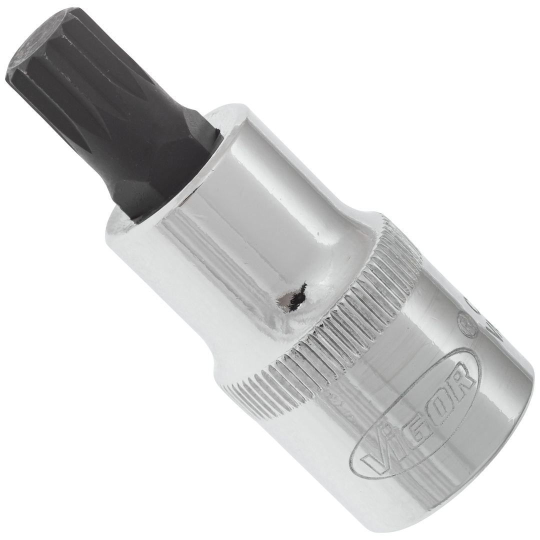 VIGOR Schraubendrehereinsatz, V2098, 1/2 (12,5 mm) Vierkant hohl, Innen Vielzahn Profil XZN, SW M10