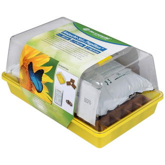 floraworld Anzucht-Set "PAPILLON" comfort