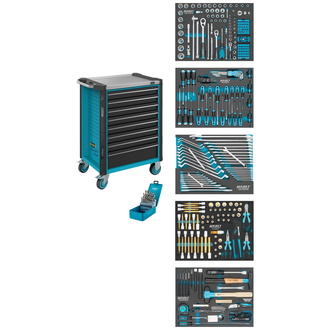 Hazet Werkstattwagen Assistent 179NX-8/314, Schubladen, flach: 8?x 81?x?522?x?398 mm, Anzahl Werkzeuge: 314