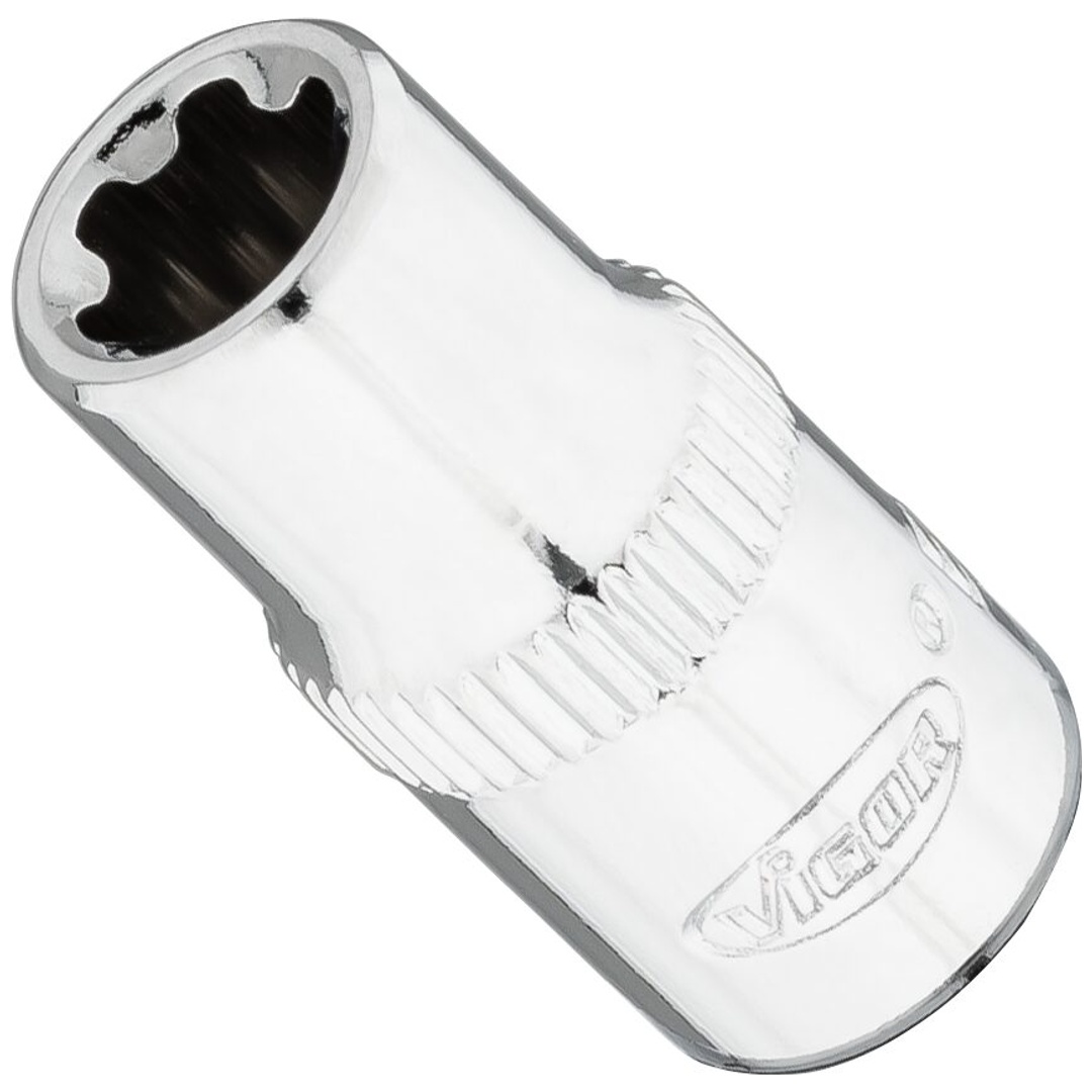 VIGOR Steckschlüsseleinsatz, 1/4 (6,3 mm) Vierkant hohl, Außen TX Plus Profil, SW E8+