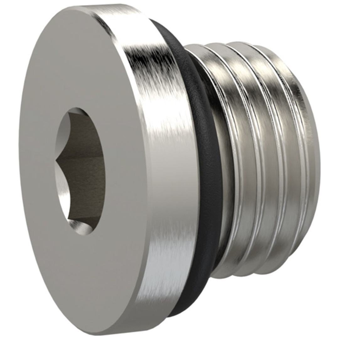 Riegler Verschlussschraube, Innensechskant 2,5 mm, M5, NBR O-Ring, MSN