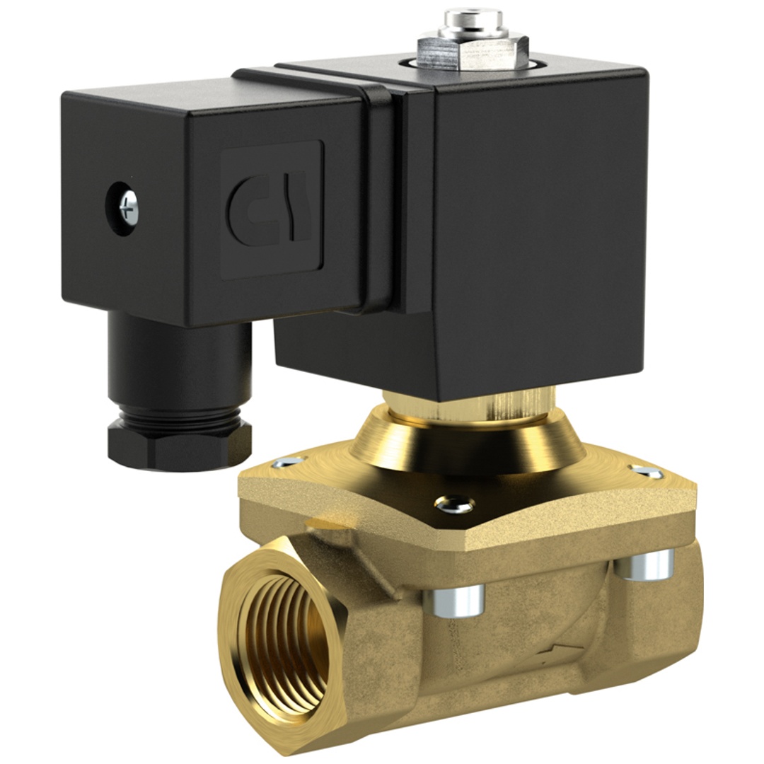 Riegler 2/2 MV, NO, MS, G38, DN13, PN 0-12, NBR, zwangsg., 24V DC