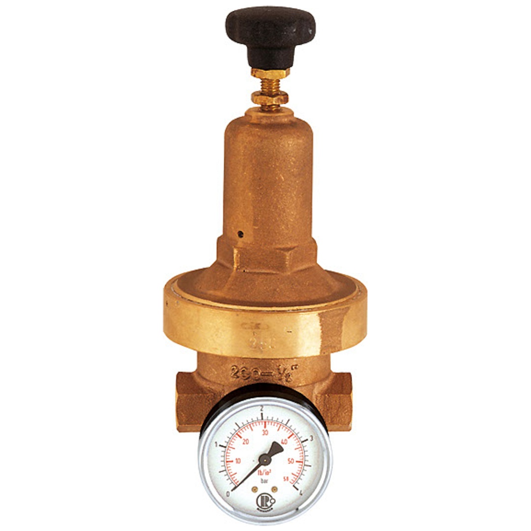 Riegler Druckregler DRV 250, Niederdruckausführung, G 1/2, 0,2 - 2 bar