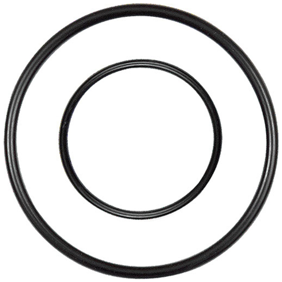 Riegler Ersatzdichtung für Edelstahl-Filter/Filterregler, BG 4