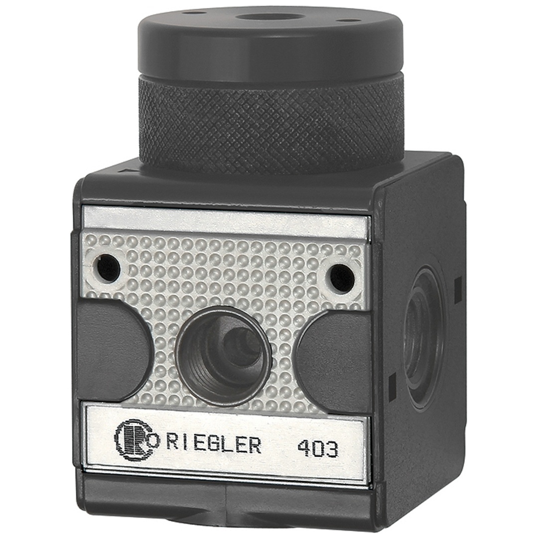 Riegler Druckregler pneumatisch ferngesteuert »multifix«, BG 1, G 1/4