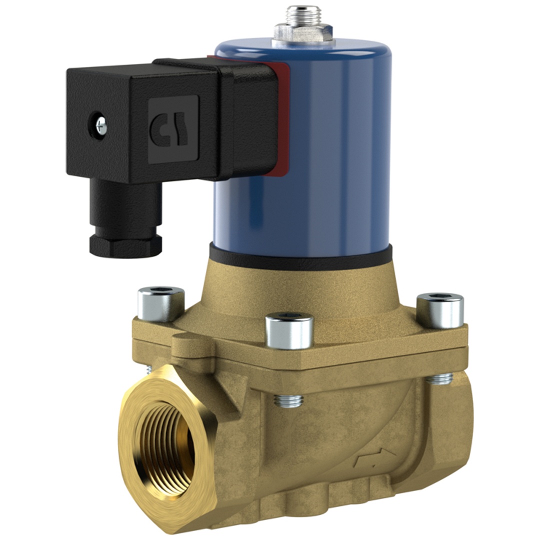Riegler 2/2 MV, NC, MS, G114, DN32, PN 0-12, NBR, zwangsg., 230V AC