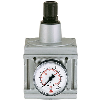 Riegler Druckregler multifix mit Manometer BG5 0,5-10bar G1."