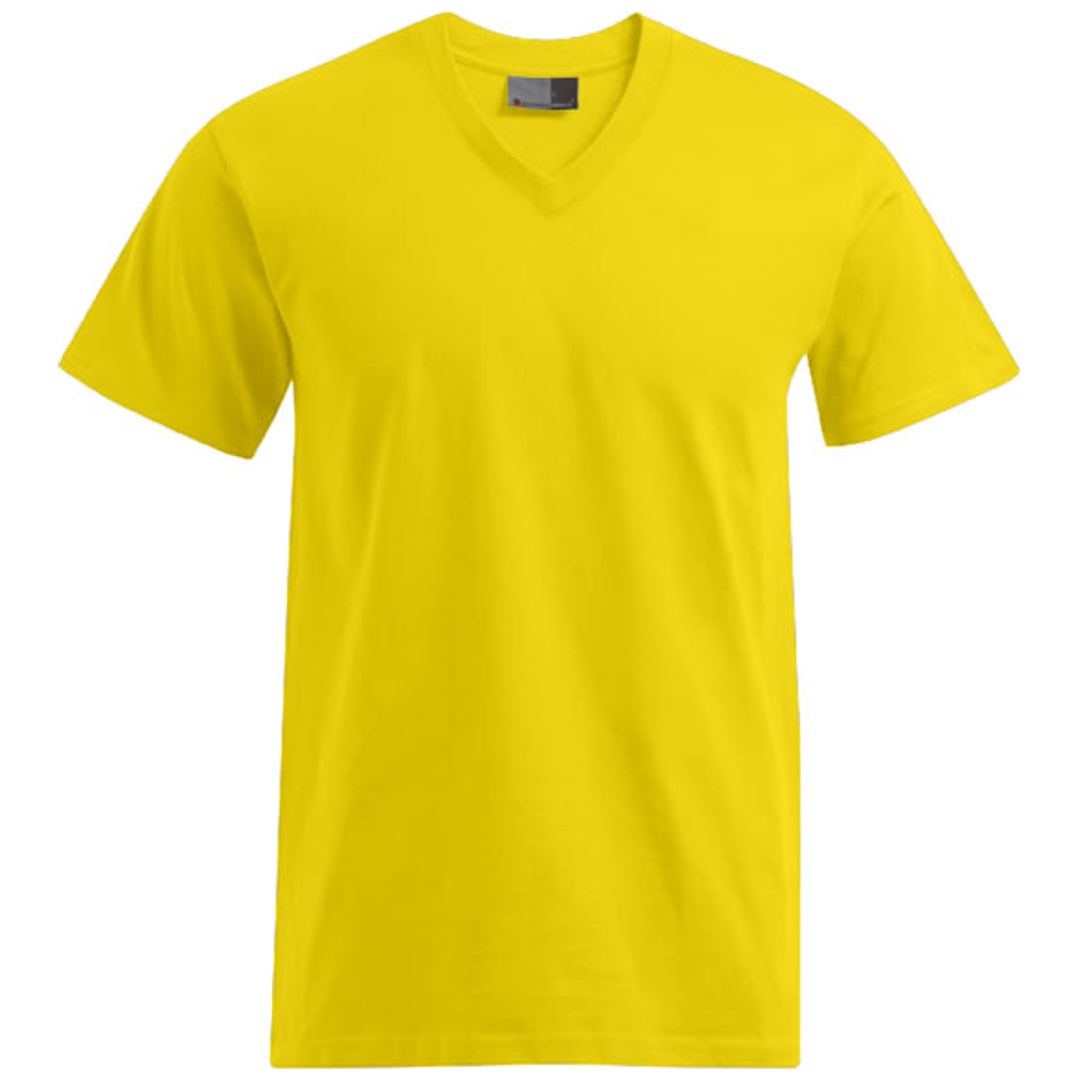Promodoro Herren Premium V-Neck T-Shirt 3025 Gr. M gold