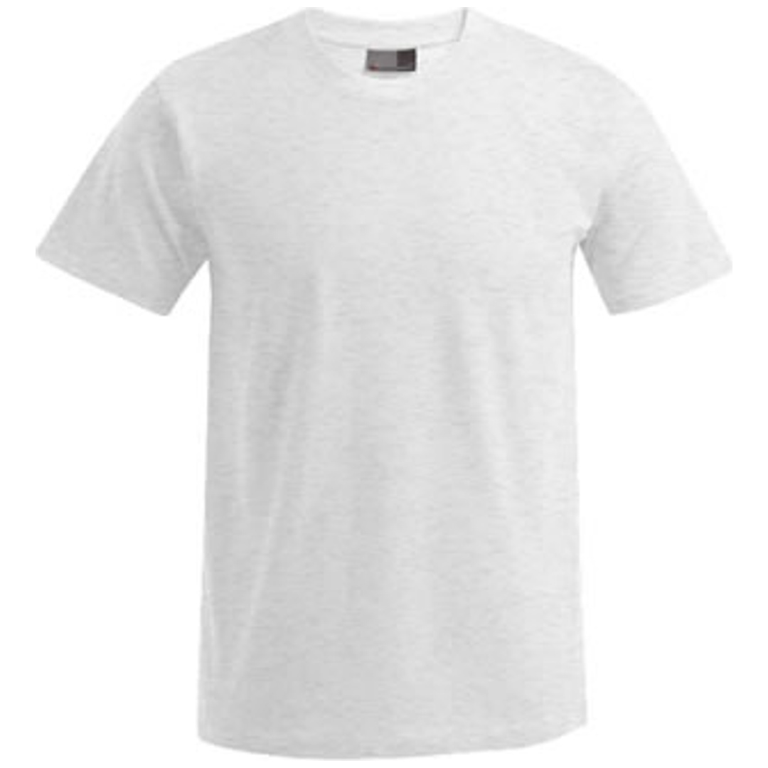 Promodoro Premium T-Shirt Men 3099 Gr. M graphite