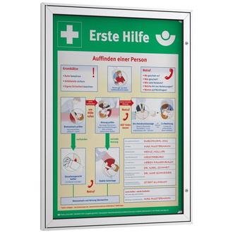 WSM Plakat-Schaukasten DIN A2500x674 mm spitze Ecke