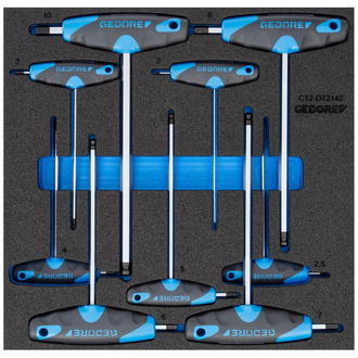 Gedore Winkelschraubendreher-Satz in Check-Tool-Modul