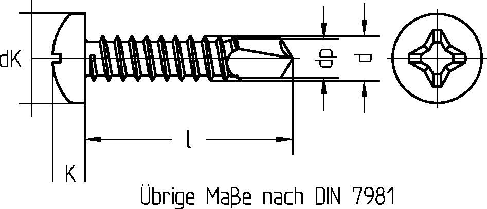 Reidl DIN 7504 Bohrschrauben - Blechgewinde 3,9 x 13, Kreuzschlitz Phillips, A2, Form N, Linsenkopf