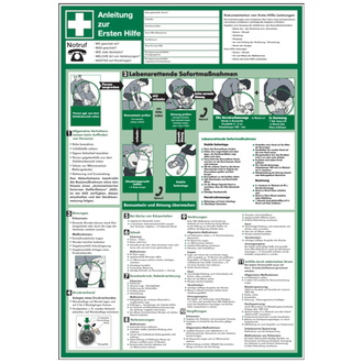 Aushang, Anleitung zur Ersten Hilfe - praxisbewährt - 410x595x1.5 mm Kunststoff