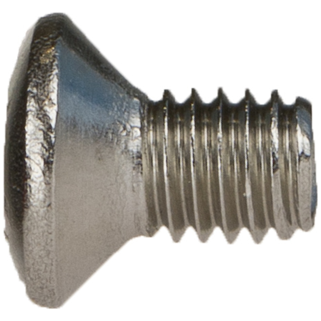 Reidl DIN 966 Linsensenkschrauben M 4 x 6,  TX, A2 blank