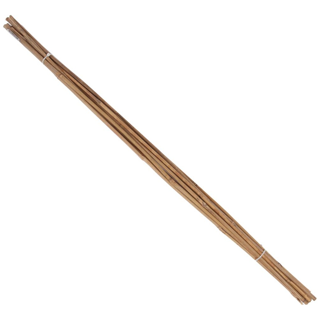 floraworld Tonkinstab 10er Set 150cm
