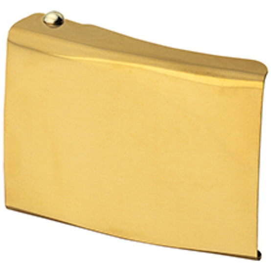 fhb-edwin-koppelschloss-neutral-gold-p383390