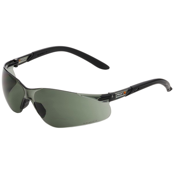 profil-brille-dunkel-en166-p6078544