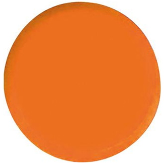 Eclipse Organisationsmagnet rund orange 20mm