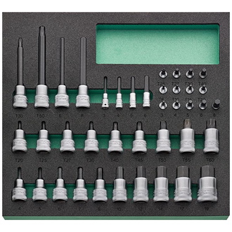 Stahlwille Werkzeugmodul 2/3 Schraubendreher-Einsätze TCS 11 821/40