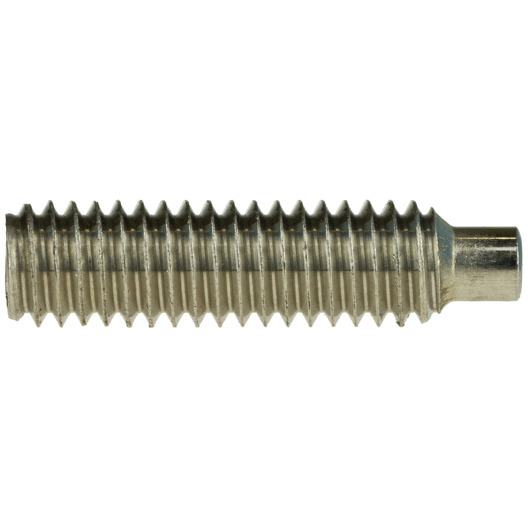 Reidl DIN 915 Gewindestifte M12x20, mit Innensechskant/Zapfen, A1 / 1.4305 blank