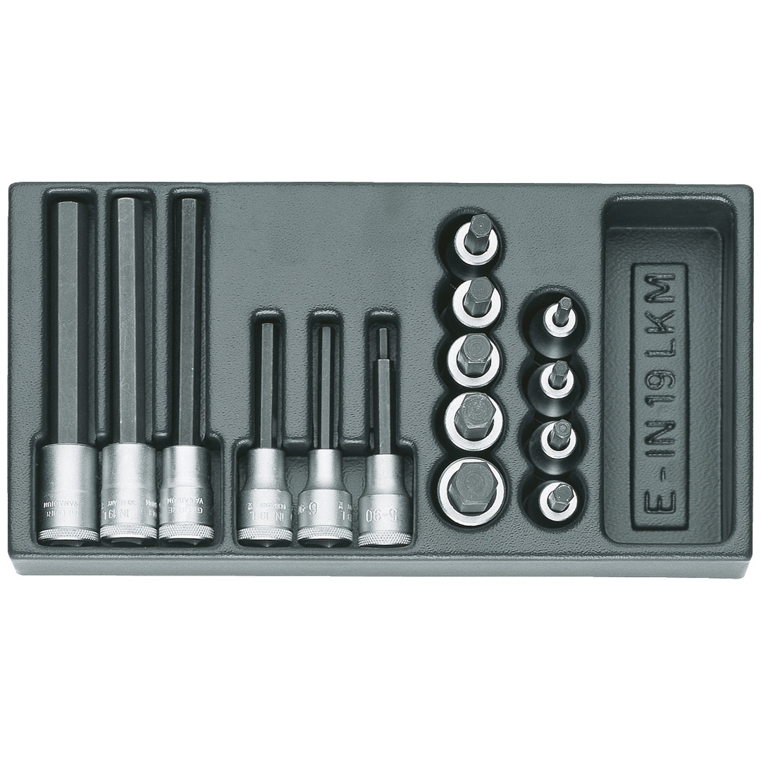 Gedore Satz Schraubendrehereinsätze 1/2 in 1/3 ES-Modul, Art.Nr. 1402234