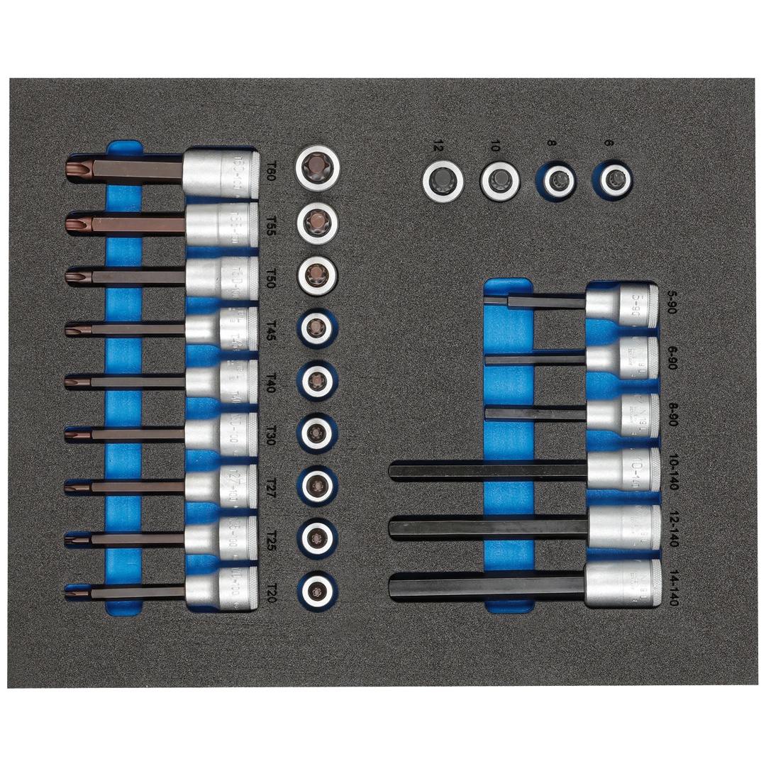 Gedore Satz Schraubendrehereinsätze 1/2 in 2/4 Check-Tool-Modul