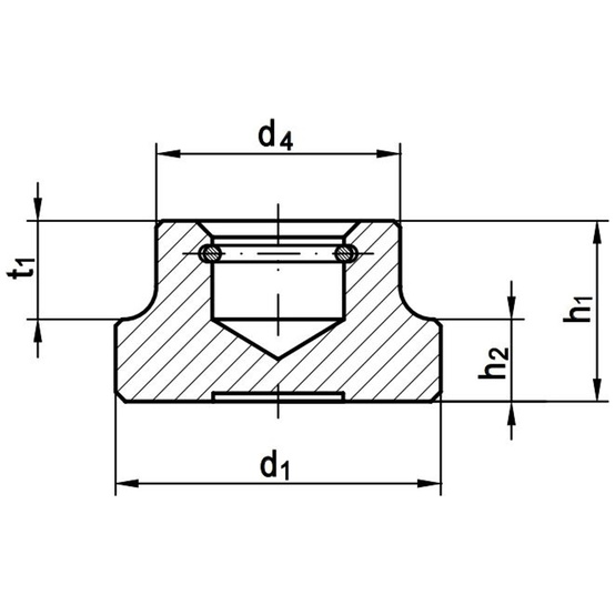 DIN-6311-Druckstueck-mit-Sprengring