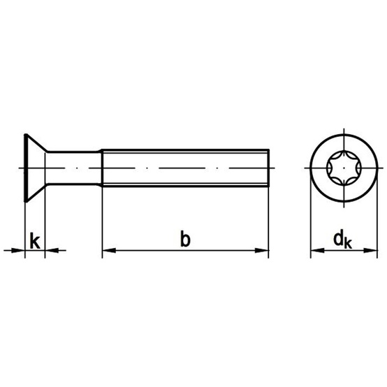 ISO-14581-Senkschrauben-mit-Torx