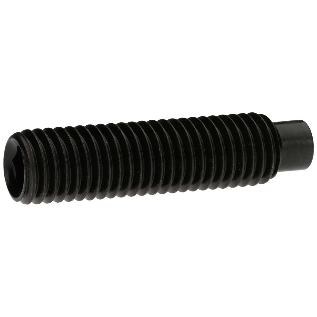 Reidl DIN 6332 Gewindestift M6x35, mit Innensechskant/Druckzapfen, 5.8 brüniert