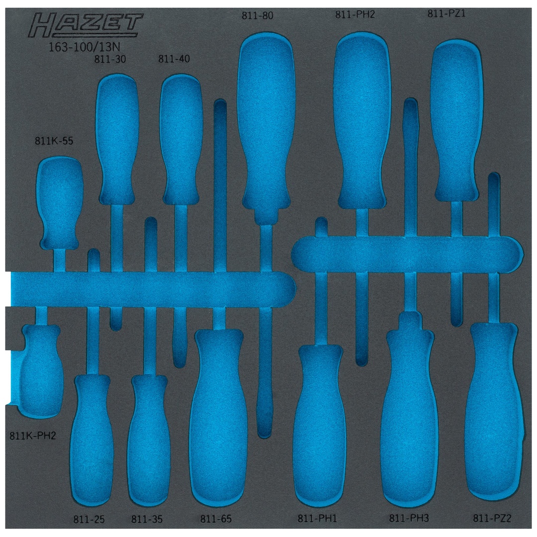Hazet 2-Komponenten Weichschaumeinlage 163-100LN, (LxB) 344 x 342 mm