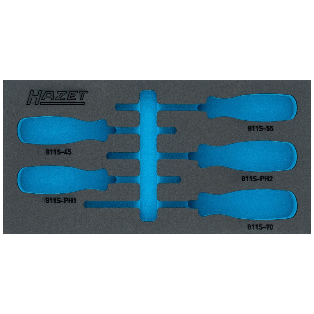 Hazet 2-Komponenten Weichschaumeinlage 163-264LN, (LxB) 342 x 172 mm