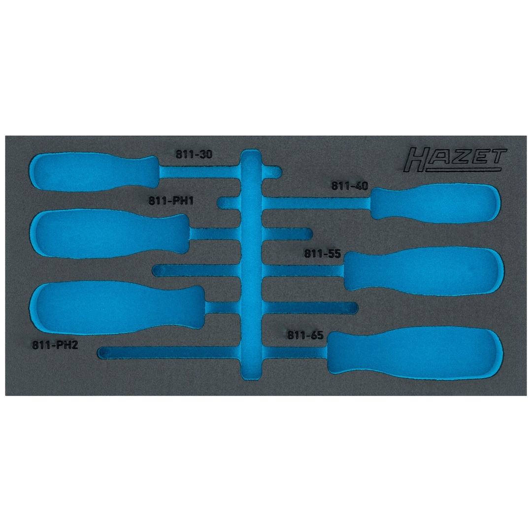 Hazet 2-Komponenten Weichschaumeinlage 163-265LN, (LxB) 342 x 172 mm