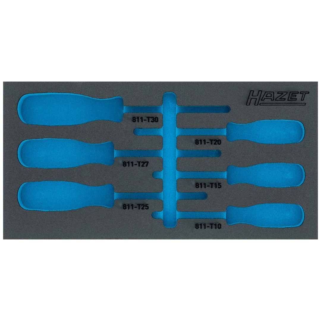 Hazet 2-Komponenten Weichschaumeinlage 163-266LN, (LxB) 342 x 172 mm