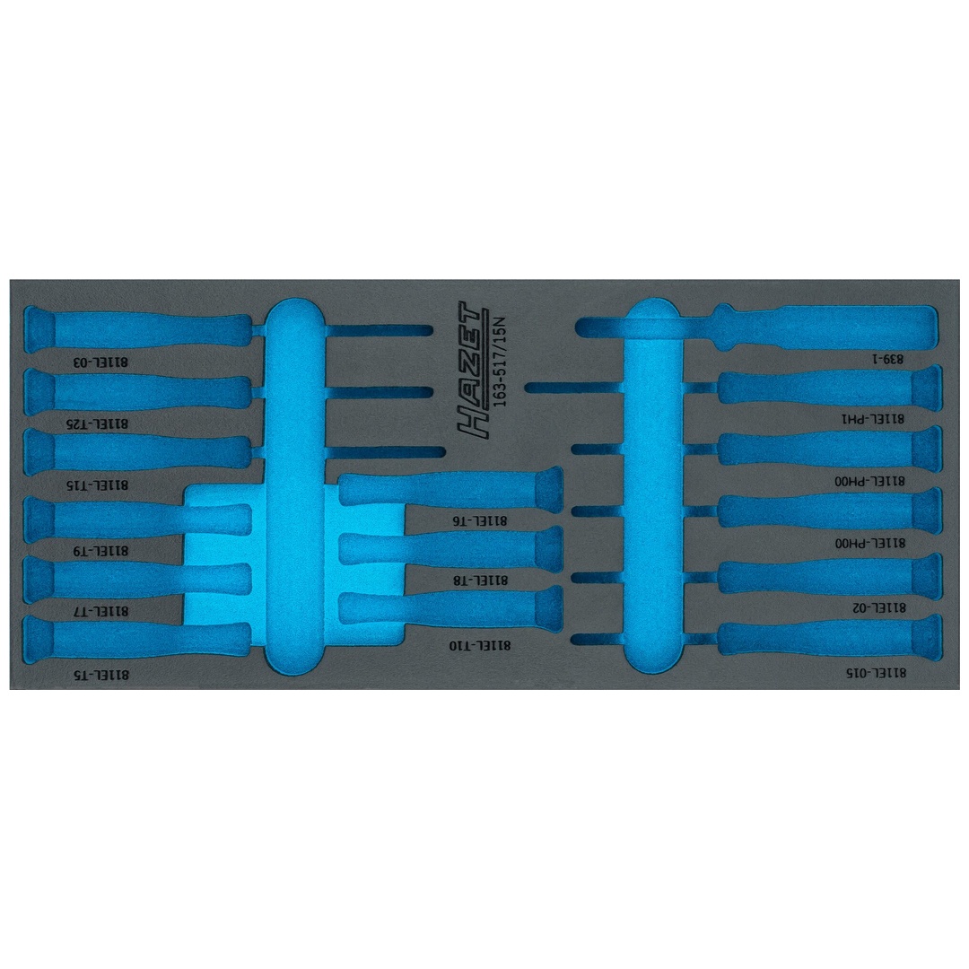 Hazet 2-Komponenten Weichschaumeinlage 163-517LN, (LxB) 392 x 172 mm