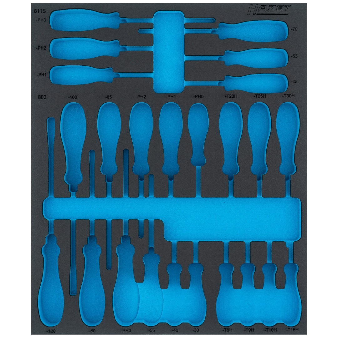 Hazet 2-Komponenten Weichschaumeinlage 163D-7LN, (LxB) 522 x 435 mm