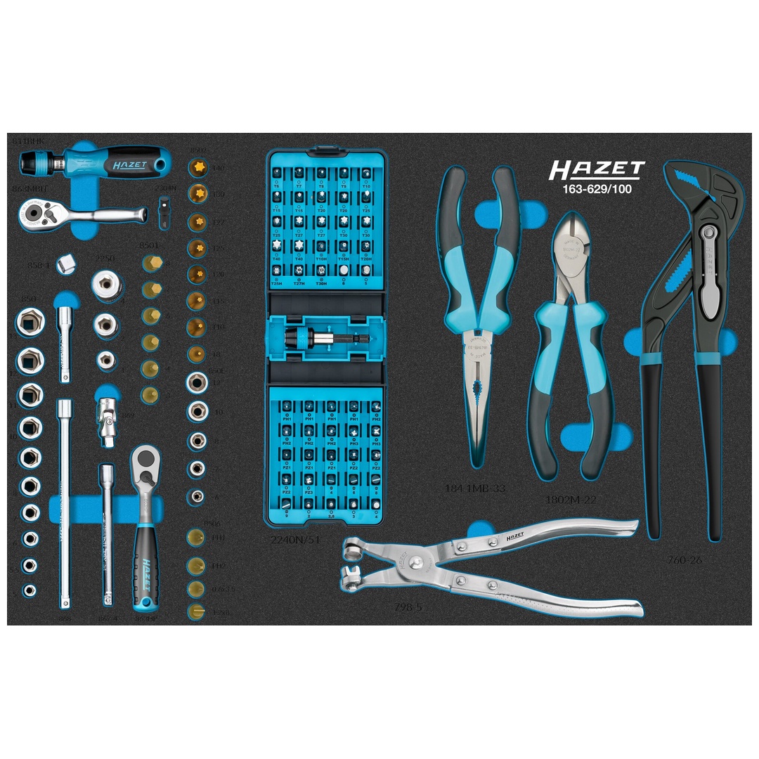 Hazet Steckschlüssel Satz 163-629/100, 100-tlg.