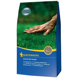 Kiepenkerl Schatten-Rasen 2 kg